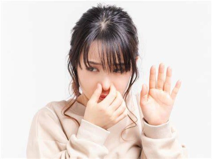 鼻につく 意味を例文で理解する